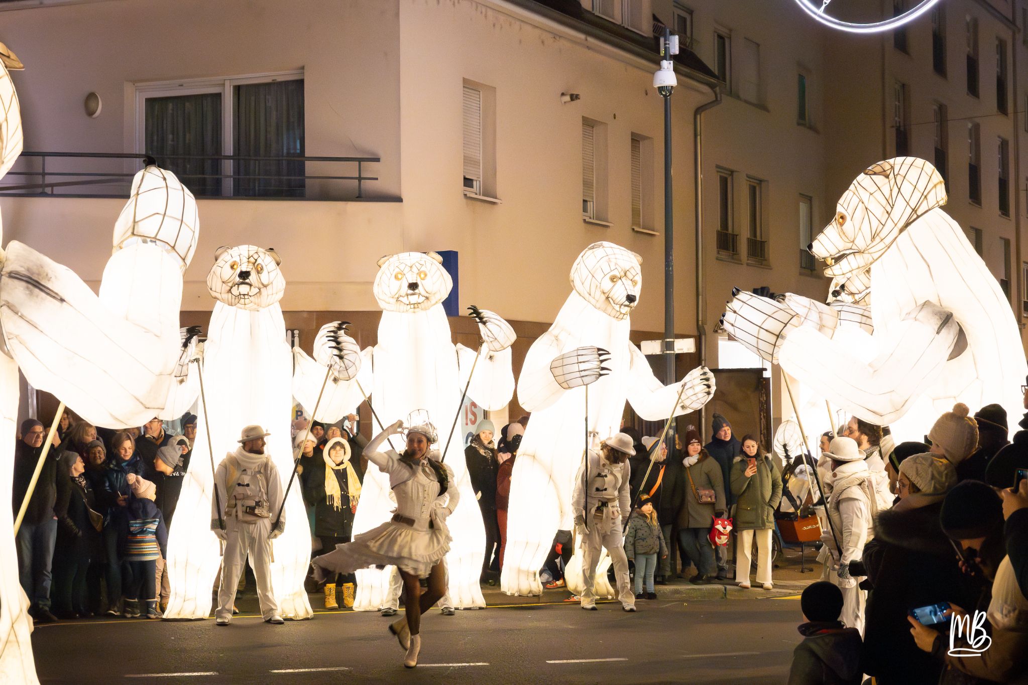 MB2024 CIE REMUE MENAGE(Gueule d'ours) (55 sur 107)